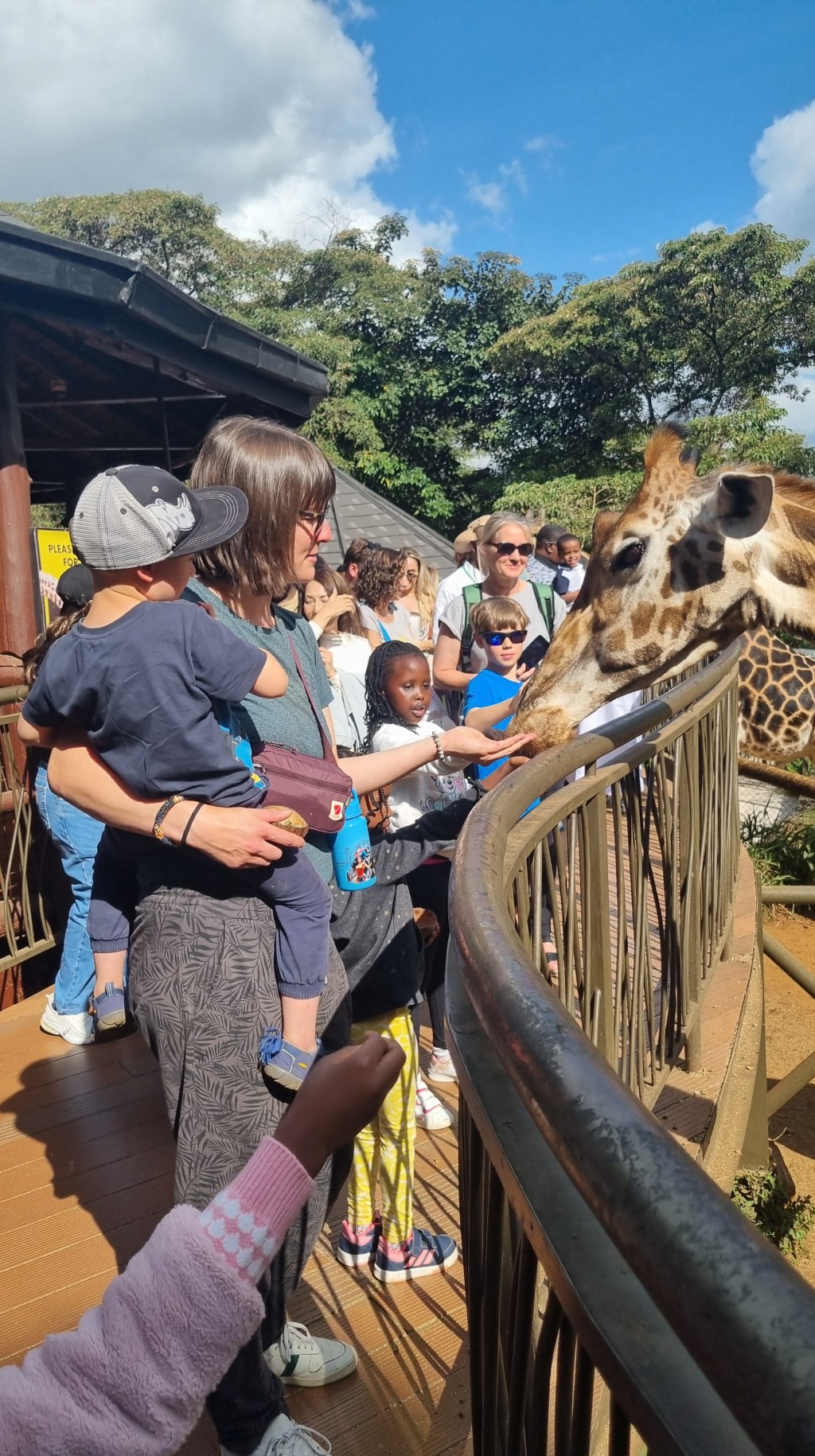 Tiere, Tiere, Tiere,…